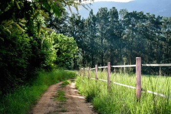 gallery/fp - fence comp